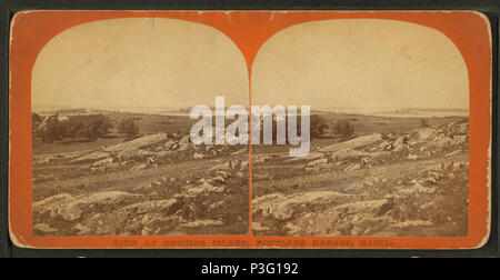 342 Anzeigen bei Cushing Island, Portland Harbor, Maine, durch Towle, S. (Simon) Stockfoto