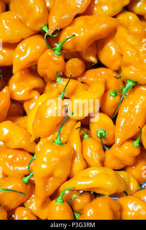 Essen Hintergrund - Habanero Chili peppers Stockfoto