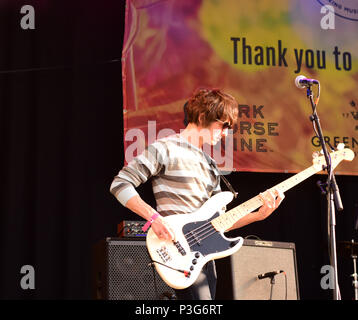 Die Gewehre rock Bath, England - Pub im Park Festival, Juni 2018 Stockfoto