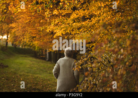 Ältere Frau mit Jacke Fuß in den Park in der Morgendämmerung Stockfoto