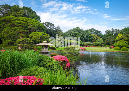 Shinjuku Gyoen National Garten in Tokio, Japan. Stockfoto