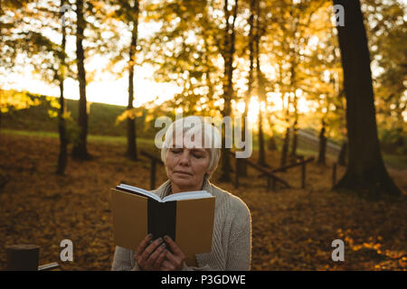 Ältere Frau mit Buch im Park Stockfoto