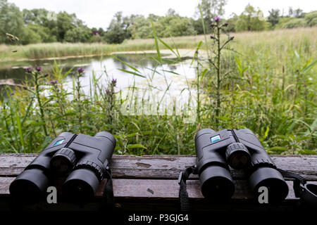 16:00 Uhr Samstag, 16. Juni 2018. Magor Marsh Nature Reserve, Magor, South Wales. UK Wetter regen Gewitter verwöhnen die geplante Familientag und Kinder Bioblitz Stockfoto