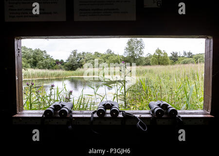 16:00 Uhr Samstag, 16. Juni 2018. Magor Marsh Nature Reserve, Magor, South Wales. UK Wetter regen Gewitter verwöhnen die geplante Familientag und Kinder Bioblitz Stockfoto