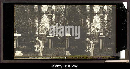 348 Blick in ein Konservatorium, Fifth Avenue, New York, von Bierstadt Brothers Stockfoto