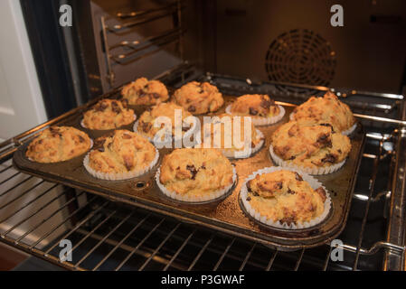 Home gebackene golden Choc Chip, Banane und Müsli, Muffins in einer Küche in Sydney, Australien gerade aus dem Ofen Stockfoto