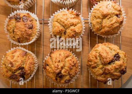 Home gebackene golden Choc Chip, Banane und Müsli, Muffins in einer Küche in Sydney, Australien vorbereitet und Kühlung auf einem Kuchen Rack Stockfoto