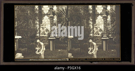 349 Blick in den Wintergarten, Fifth Avenue, New York, von Bierstadt Brothers Stockfoto