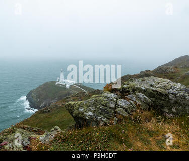 Die historische South Stack Leuchtturm auf einer kleinen Insel über ein Gefälle von 400 Schritten den steilen Klippen erreicht Festland entfernt. South Stack Rock l Stockfoto