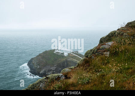 Die historische South Stack Leuchtturm auf einer kleinen Insel über ein Gefälle von 400 Schritten den steilen Klippen erreicht Festland entfernt. South Stack Rock l Stockfoto