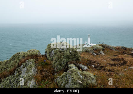 Die historische South Stack Leuchtturm auf einer kleinen Insel über ein Gefälle von 400 Schritten den steilen Klippen erreicht Festland entfernt. South Stack Rock l Stockfoto