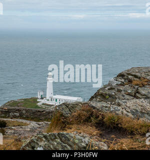 Die historische South Stack Leuchtturm auf einer kleinen Insel über ein Gefälle von 400 Schritten den steilen Klippen erreicht Festland entfernt. South Stack Rock l Stockfoto