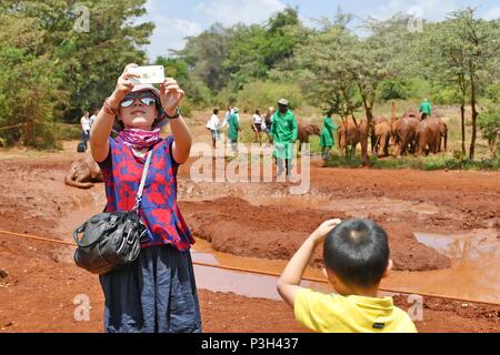 (180618) - Peking, 18. Juni 2018 (Xinhua) - ein chinesischer Tourist nimmt eine selfie auf einem Elefanten Waisenhaus in Nairobi, Kenia, Februar 2, 2017. (Xinhua / Sun Ribo) (Nxl) Stockfoto