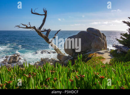 Monterey, USA. 03 Juni, 2017. 03.06.2017, USA, Monterey: Die Westküste am 17 Km südlich von San Francisco. Foto: Patrick Pleul/dpa-Zentralbild/ZB | Verwendung weltweit/dpa/Alamy leben Nachrichten Stockfoto
