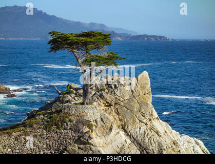 Monterey, USA. 03 Juni, 2017. 03.06.2017, USA, Monterey: Die Westküste am 17 Km südlich von San Francisco. Foto: Patrick Pleul/dpa-Zentralbild/ZB | Verwendung weltweit/dpa/Alamy leben Nachrichten Stockfoto