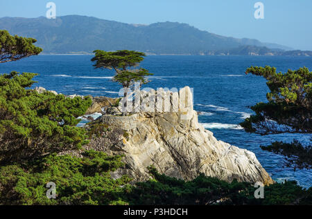 Monterey, USA. 03 Juni, 2017. 03.06.2017, USA, Monterey: Die Westküste am 17 Km südlich von San Francisco. Foto: Patrick Pleul/dpa-Zentralbild/ZB | Verwendung weltweit/dpa/Alamy leben Nachrichten Stockfoto