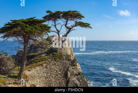 Monterey, USA. 03 Juni, 2017. 03.06.2017, USA, Monterey: Die Westküste am 17 Km südlich von San Francisco. Foto: Patrick Pleul/dpa-Zentralbild/ZB | Verwendung weltweit/dpa/Alamy leben Nachrichten Stockfoto