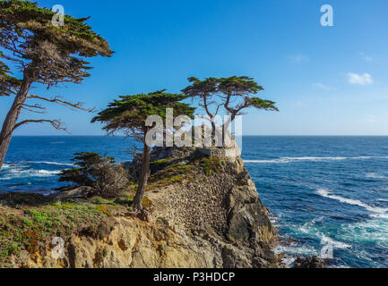 Monterey, USA. 03 Juni, 2017. 03.06.2017, USA, Monterey: Die Westküste am 17 Km südlich von San Francisco. Foto: Patrick Pleul/dpa-Zentralbild/ZB | Verwendung weltweit/dpa/Alamy leben Nachrichten Stockfoto