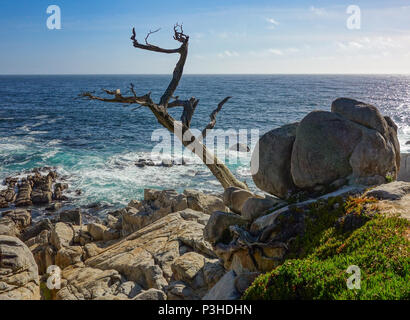 Monterey, USA. 03 Juni, 2017. 03.06.2017, USA, Monterey: Die Westküste am 17 Km südlich von San Francisco. Foto: Patrick Pleul/dpa-Zentralbild/ZB | Verwendung weltweit/dpa/Alamy leben Nachrichten Stockfoto