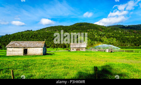 Alte Scheunen und bewässerten Wiesen entlang der Heffley-Louis Creek Road zwischen Whitecroft und Barierre in der Shuswap Hochland von British Columbia, Kanada Stockfoto