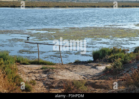 Sallt Verdunstung Teich in Ludo. Algarve, Portugal Stockfoto