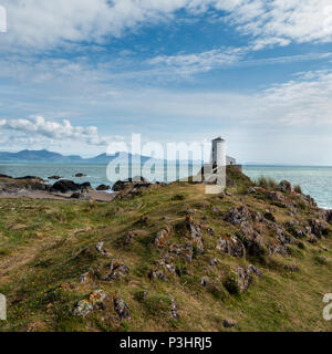 Tŵr Mawr Leuchtturm (bedeutet "Große Turm' auf Walisisch), auf Ynys Llanddwyn auf Anglesey, Wales, markiert den westlichen Eingang der Menai Strait. Stockfoto