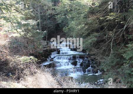 Dies ist abgesehen von Whiskey Creek, fließt durch Corning NY und Caton NY Stockfoto