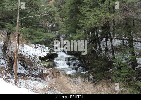 Dies ist abgesehen von Whiskey Creek, fließt durch Corning NY und Caton NY Stockfoto