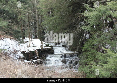 Dies ist abgesehen von Whiskey Creek, fließt durch Corning NY und Caton NY Stockfoto