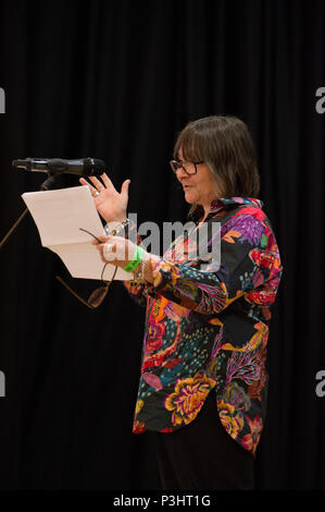 Thema Ali Smith lesen auf der 9. jährlichen 2018 Stoke Newington Literary Festival in Hackney, East London Stockfoto