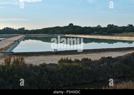 Sallt Verdunstung Teich in Ludo. Algarve, Portugal Stockfoto