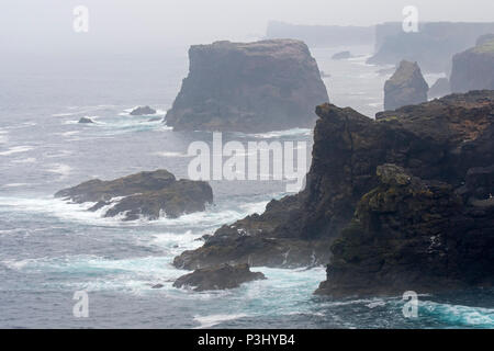 Sea Stacks und Klippen im Nebel bei Eshaness/Esha Ness, Halbinsel in Northmavine auf der Insel Festland, Shetlandinseln, Schottland, Großbritannien Stockfoto