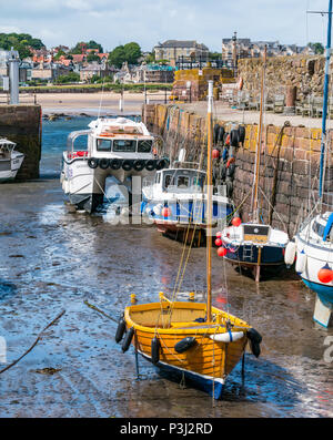 Hölzerne Segelboot und andere Boote in Schlamm bei Ebbe, mit seafari Explorer Katamaran, North Berwick Hafen, East Lothian, Schottland, Großbritannien Stockfoto