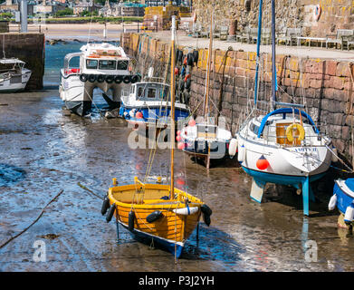 Hölzerne Segelboot und andere Boote in Schlamm bei Ebbe, mit seafari Explorer Katamaran, North Berwick Hafen, East Lothian, Schottland, Großbritannien Stockfoto