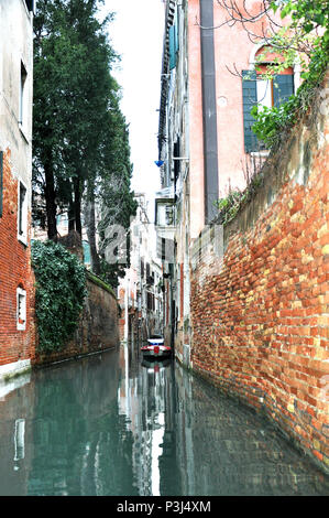 Ein üppiger Passage innerhalb der Canal Grande mit Reben bewachsen und Moos, Venedig Italien. Stockfoto