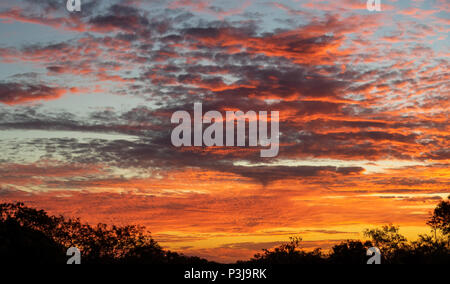 Rote Wolken bei Sonnenuntergang der Gibb River Road Kimberley WA Australien. Stockfoto
