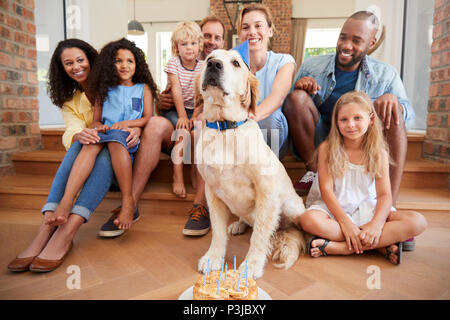 Zwei Familien feiern Geburtstag der Hund zu Hause Stockfoto