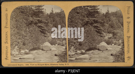 . Blick auf den Blumenstrauß, Elizabeth River Valley, New York Adirondack Region. Alternative Titel: Amerikanische Landschaft. Erstellt: Ca. 1875. Abdeckung: 1860?-1885?. Quelle Impressum: 1860?-1885?. Digitale Element veröffentlicht 2-16-2006; 2-11-2009 aktualisiert. 368 Blick auf Blumenstrauß, Elizabeth River Valley, New York Adirondack Region, von Hügeln &Amp; Bowers Stockfoto