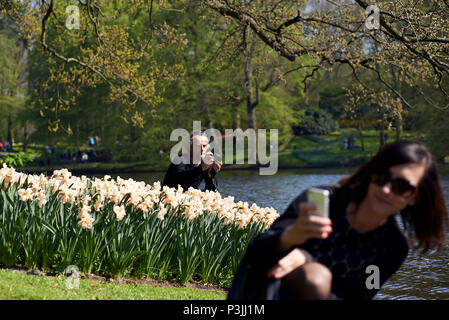 Touristen genießen taing Bilder der vielen Felder der Tulpen auf dem Keukenhof eine bekannte Attraktion im Frühjahr Sonnenschein Stockfoto