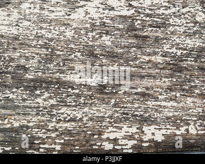 Altes holz mit weißer Farbe abblättern als Hintergrund verwenden Stockfoto