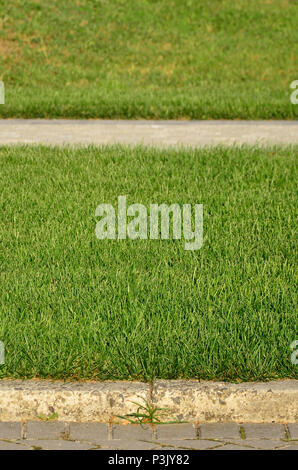 Ein schöner neuer Gehweg aus Stein befindet sich in den grünen Gras entfernt Stockfoto