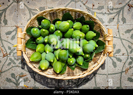 Frisch gepflückte Feigen in einem Strohkorb gesammelt, Ficus Carica - Apulien, Italien Stockfoto