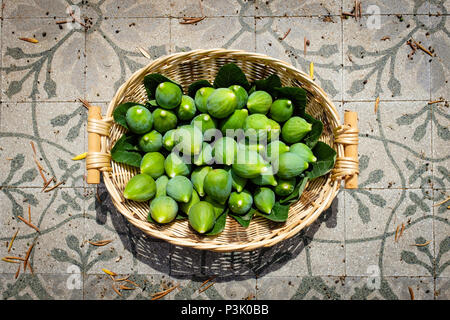 Frisch gepflückte Feigen in einem Strohkorb gesammelt, Ficus Carica - Apulien, Italien Stockfoto