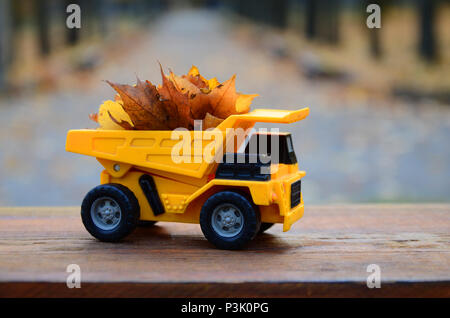 Das Konzept der saisonalen Ernte im Herbst Laub ist in der Form eines Spielzeugs gelbe Lastwagen geladen mit Blättern vor dem Hintergrund der Dargestellten Stockfoto