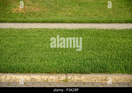 Ein schöner neuer Gehweg aus Stein befindet sich in den grünen Gras entfernt Stockfoto