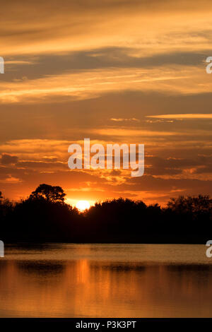 Teich sunrise, Indian River County Feuchtgebiete, Vero Beach, Florida Stockfoto