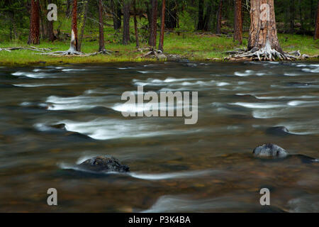 Malheur Wild and Scenic River, Malheur National Forest, Oregon Stockfoto