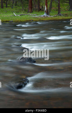 Malheur Wild and Scenic River, Malheur National Forest, Oregon Stockfoto