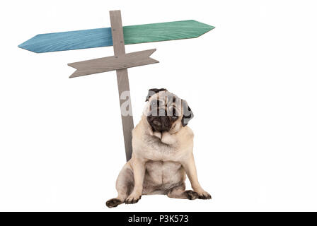 Lustige süße Mops Welpen Hund sitzend Neben leer Wegweiser; mit Zeichen links und rechts, auf weißem Hintergrund Stockfoto