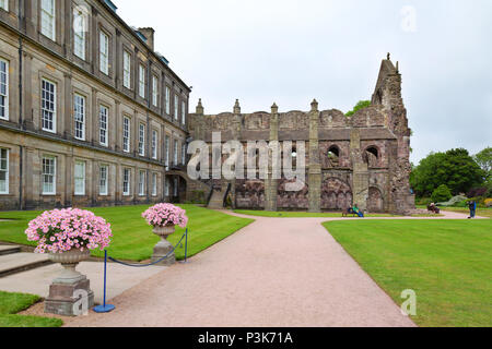 Die Ruinen des 12. Jahrhunderts Holyrood Abbey, der Holyrood Palace, Altstadt von Edinburgh, Schottland Großbritannien Stockfoto